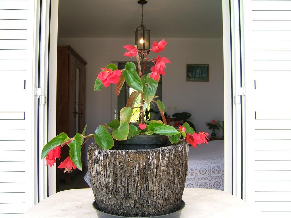 Holiday Home La Caverne Des Hirondelles Saint-Joseph Luaran gambar